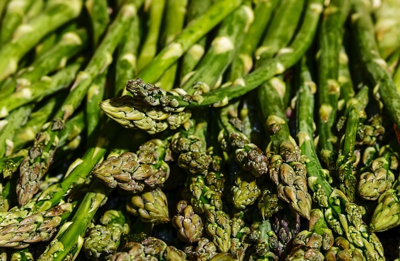 Gourmet Garden Delights