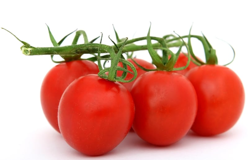 Gourmet Garden Delights Catering